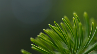 智慧標簽引領下的循環(huán)經(jīng)濟