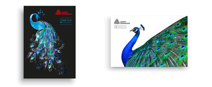 艾利丹尼森全新TC150高速印刷涂層方案助力印刷商提高生產(chǎn)效率