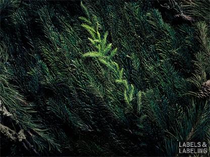 智慧標簽引領下的循環(huán)經(jīng)濟