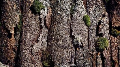 芬歐藍(lán)泰：升級(jí)產(chǎn)品助力細(xì)分市場(chǎng)發(fā)展