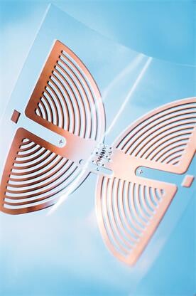 芬歐藍(lán)泰：升級(jí)產(chǎn)品助力細(xì)分市場(chǎng)發(fā)展