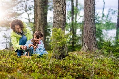 芬歐藍(lán)泰：升級(jí)產(chǎn)品助力細(xì)分市場(chǎng)發(fā)展