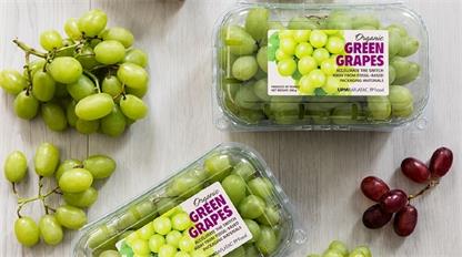 深圳宏源清：防偽+數(shù)字，小微企業(yè)亦有掘金空間