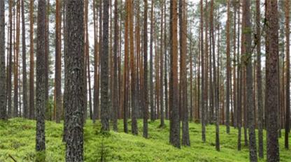 昱龍印刷：數(shù)字與 傳統(tǒng)有效融合，取 得效益最優(yōu)