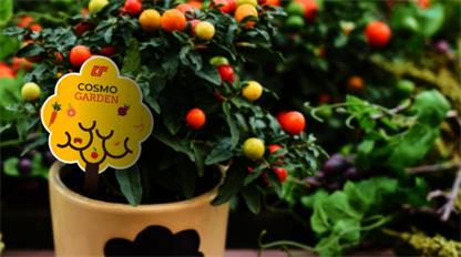 標簽印刷行業(yè)VOCs管控政策淺析